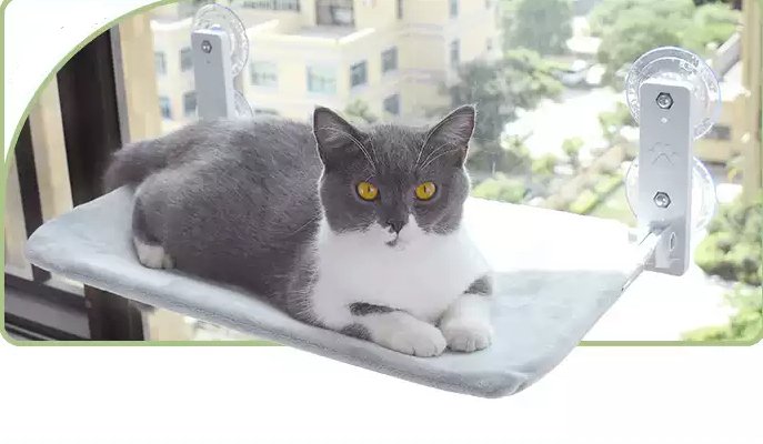 Cat Suction Cup Window Glass Hammock Pet Cat Pets Products - Just4U