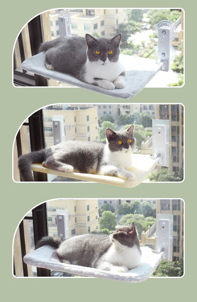 Cat Suction Cup Window Glass Hammock Pet Cat Pets Products - Just4U