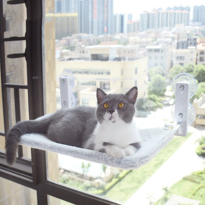 Cat Suction Cup Window Glass Hammock Pet Cat Pets Products - Just4U