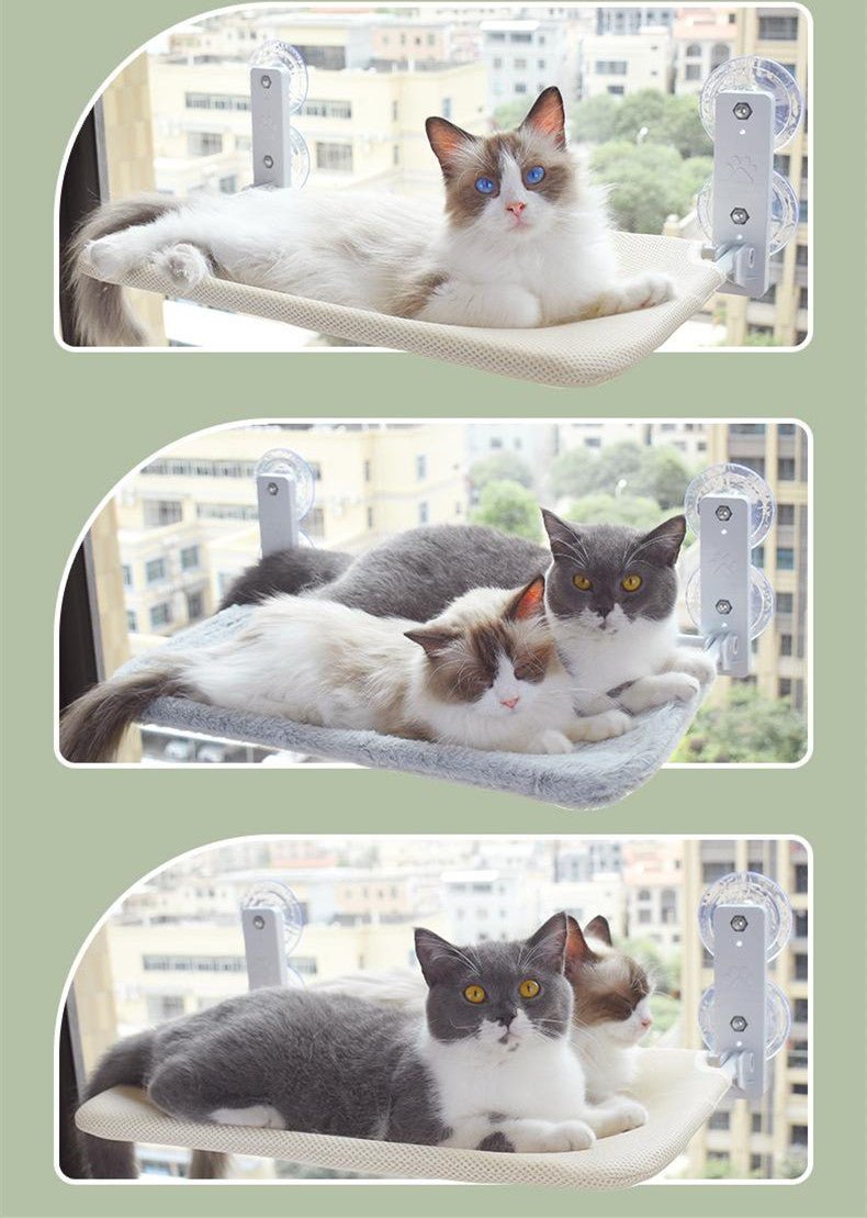 Cat Suction Cup Window Glass Hammock Pet Cat Pets Products - Just4U